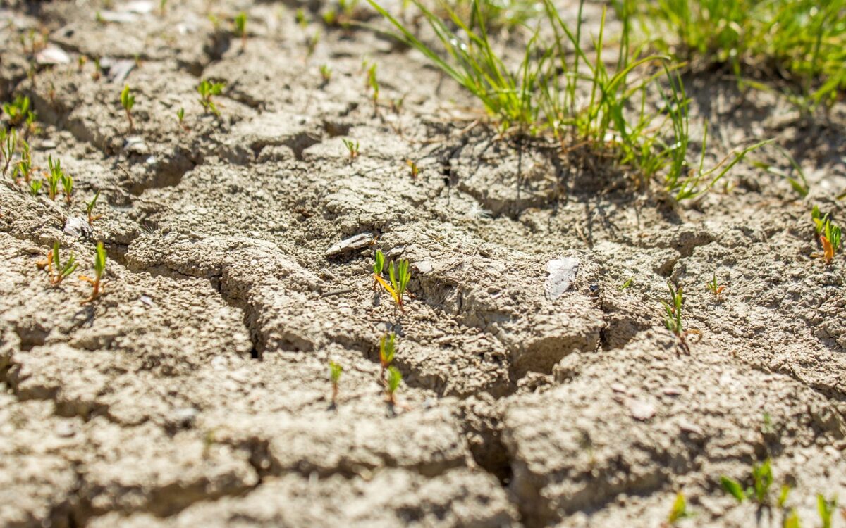 Fulbright Chile y U. De Atacama traen a dos expertos estadounidenses en energía y gestión hídrica