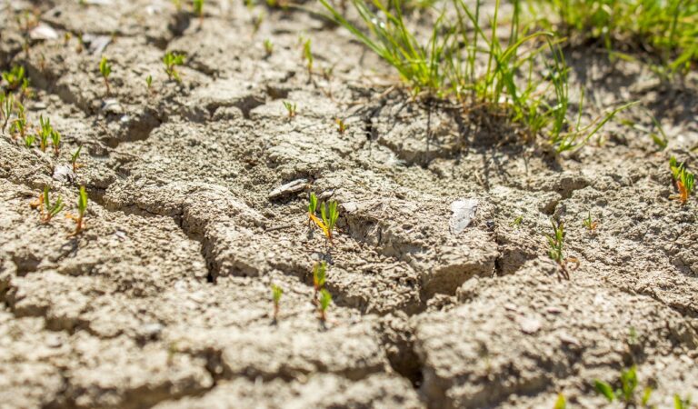 Fulbright Chile y U. De Atacama traen a dos expertos estadounidenses en energía y gestión hídrica