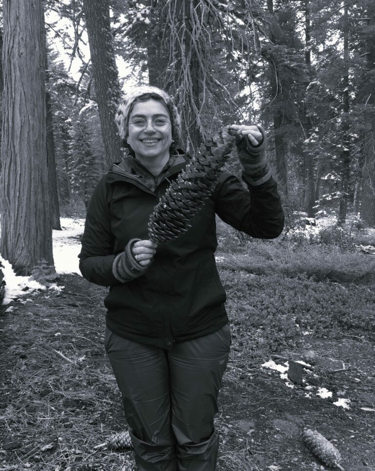 Verónica Loewe Muñoz